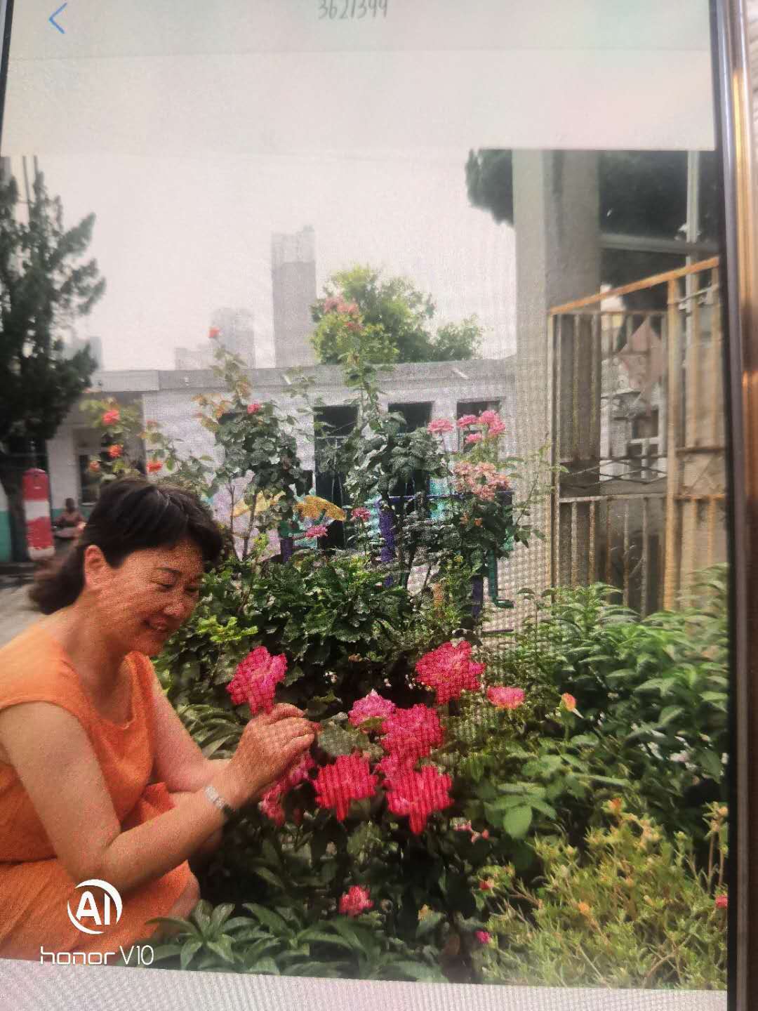 公寓赏花区
