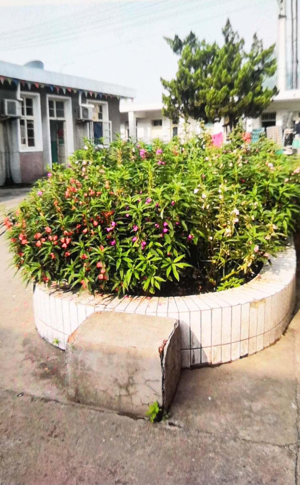 院内环境