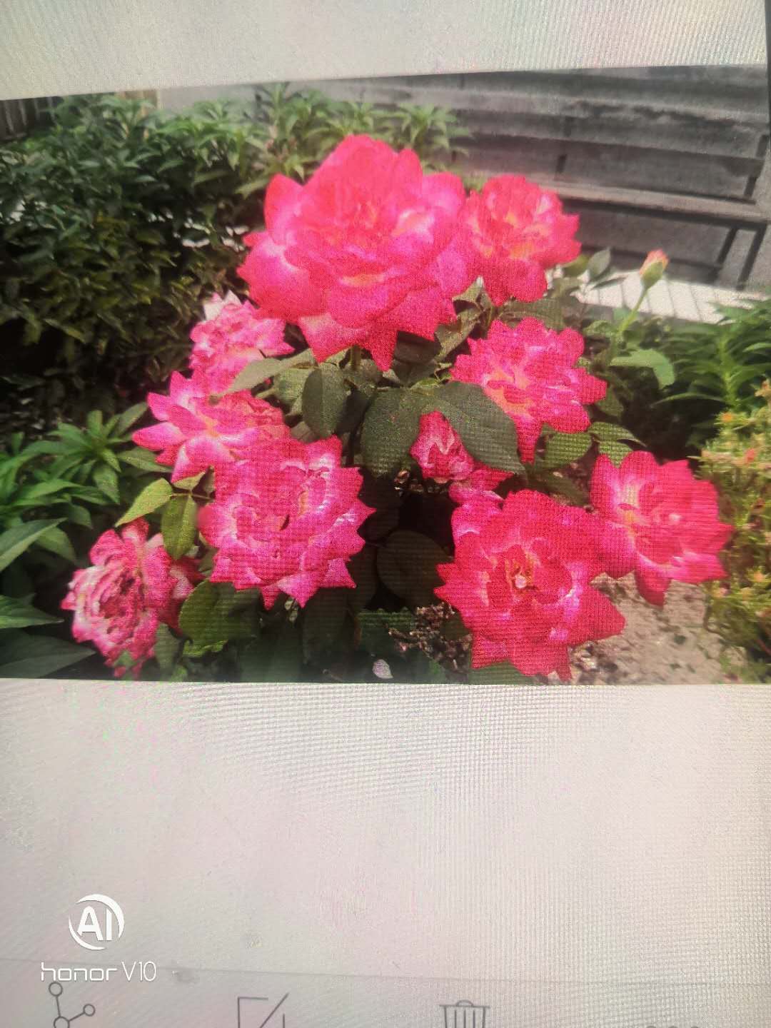 院内环境